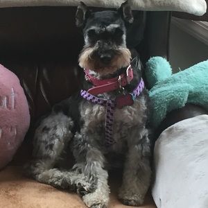 Meet your Posher, Robert